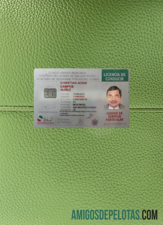 Carteira de motorista do México 2019 presente fotolook frente modelo